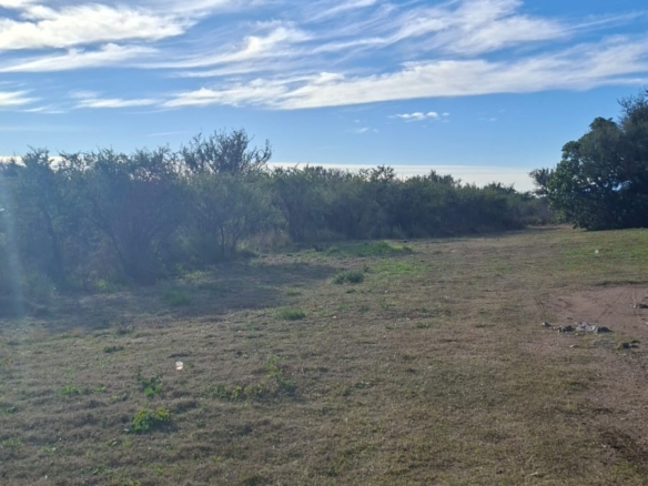 LOTE DE 3000MTS EN CORTADERAS
