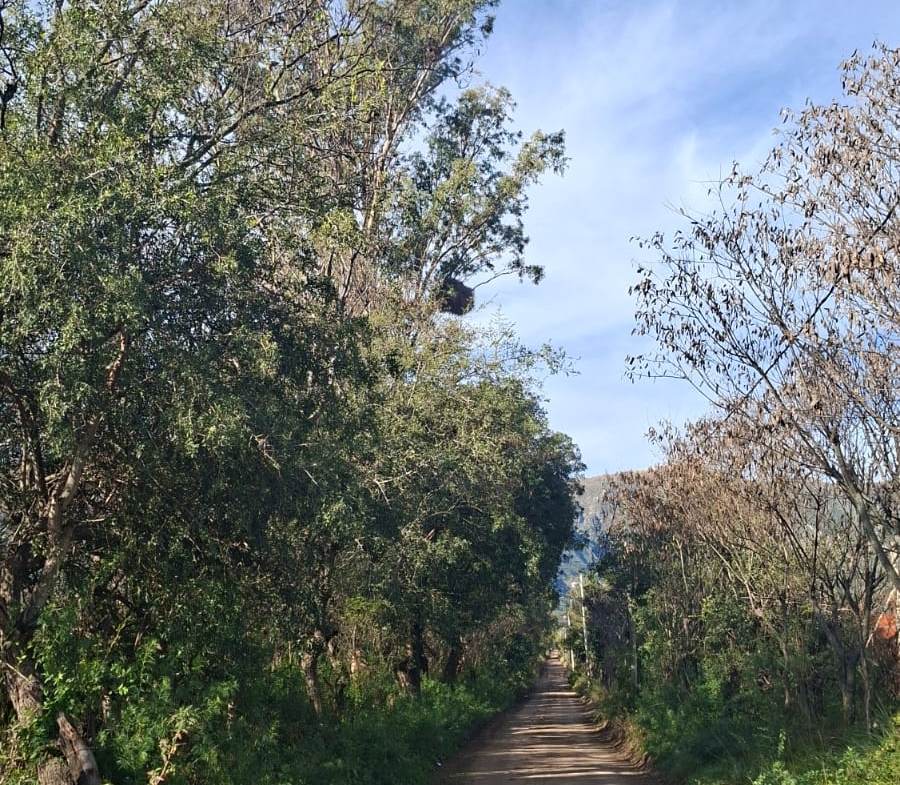 LOTE DE 3000MTS EN CORTADERAS