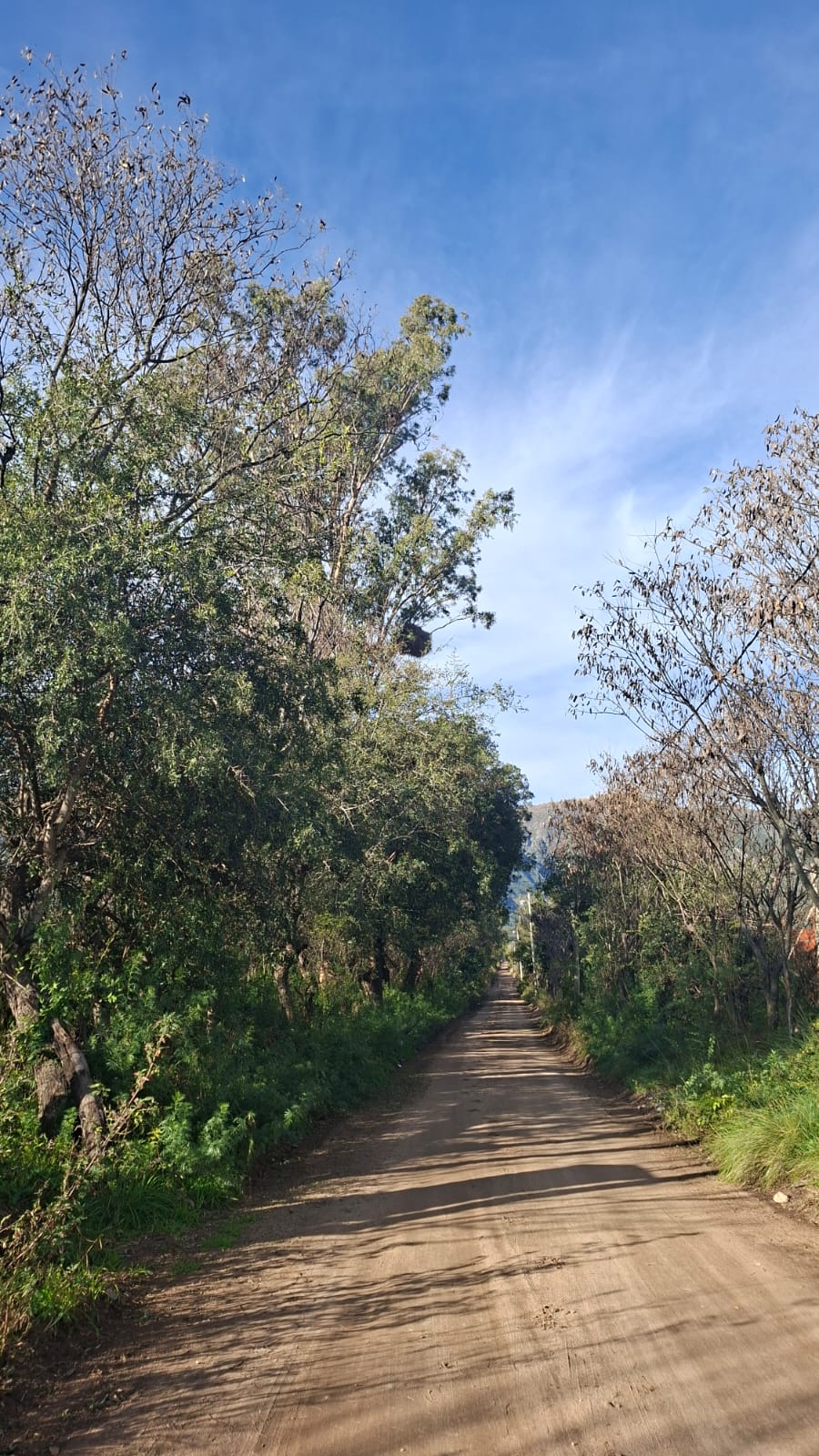 LOTE DE 3000MTS EN CORTADERAS