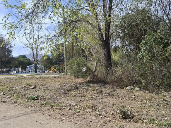TERRENO MERLO FRENTE A LA PLAZA SAN AGUSTIN