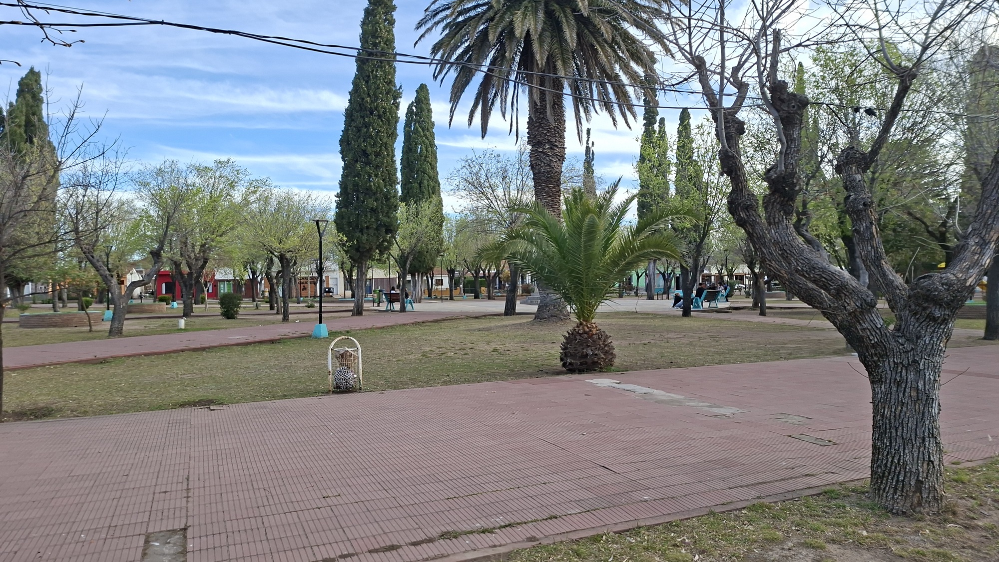 TERRENO CENTRICO